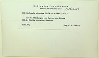 Image Associated With the Occurence